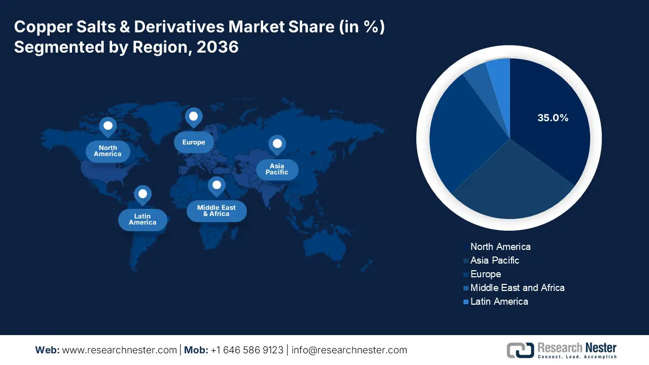 Copper Salts & Derivatives Market size